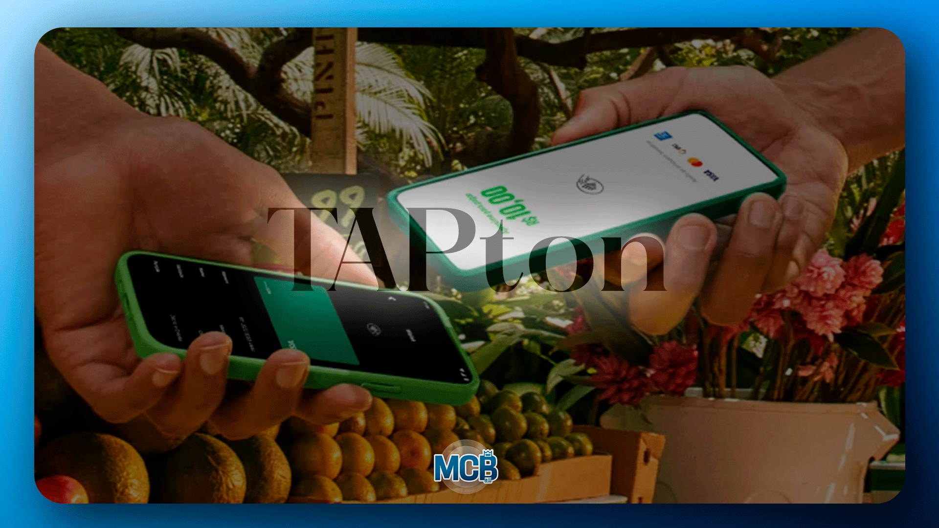 3---TAPton-A-escolha-do-Ton